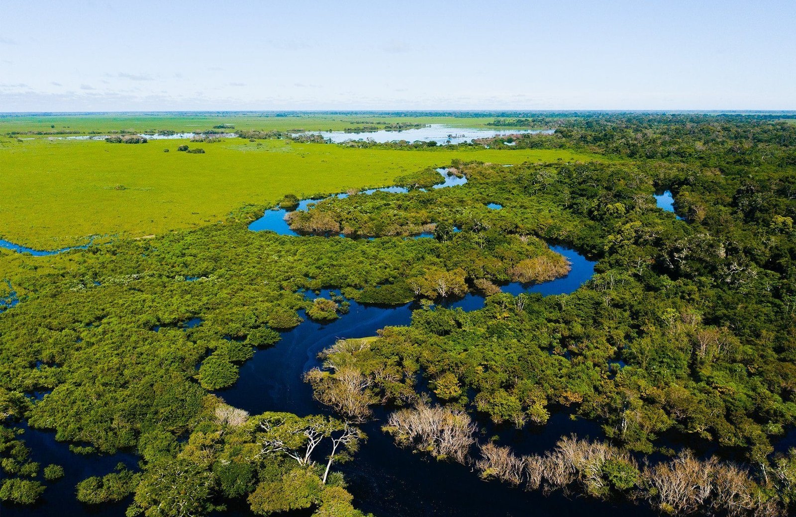 Bolivia-Amazon-3-2000.1333-q1ojfxhpy54slu4e0815s82o9jikx3p8cxmztgiw20