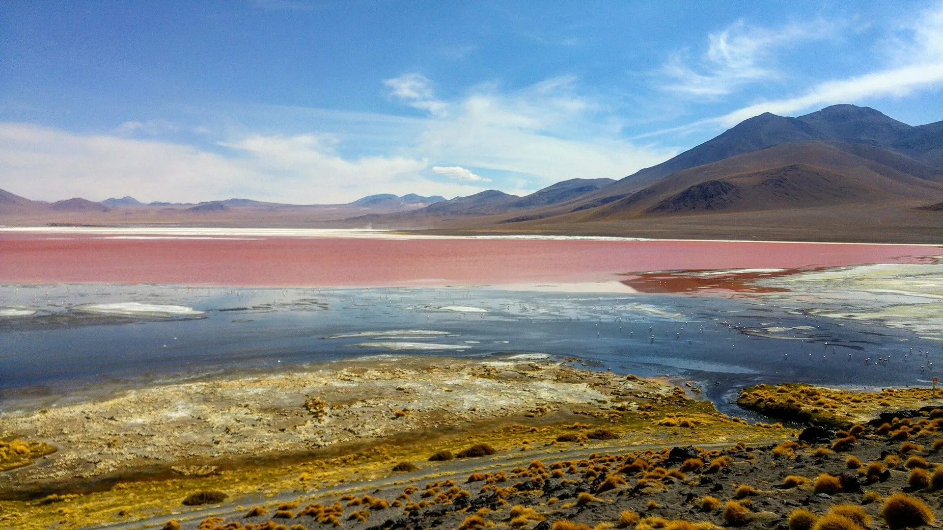 SALAR - SUD LIPEZ - LAGUNA COLORADA  3 DIAS 2 NOCHES